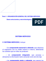 Tema 7 Organización General Del Sistema Nervioso