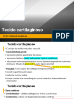 TECIDO CARTILAGINOSO e TECIDO SANGUÍNEO