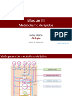 Metabolismo de Lípidos - MGC