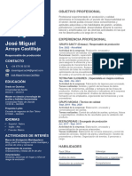 CV José Miguel Arroyo PDF