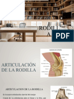 Articulación de La Rodilla (606-617)