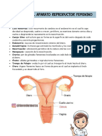 Fisiología Del Aparato Reproductor Femenino