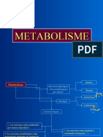 Tema 1 - Metabolisme - 2n BATX