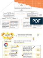 Mapas Conceptuales