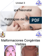 Unidad 3 Etapa Neonatal Patologias Del Neonato