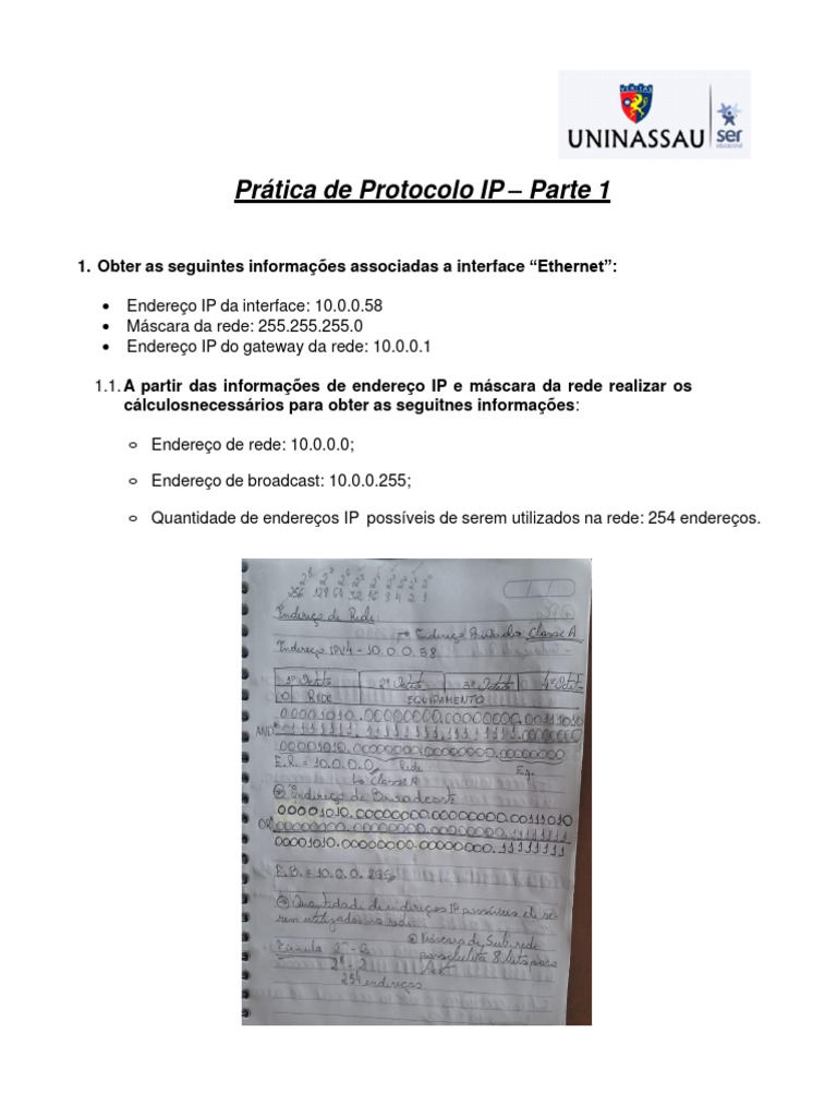 Análise de Protocolo IP com Wireshark | PDF | Porta (rede de ...