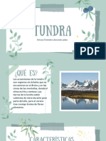 Ecosistema Tundra-Biologia