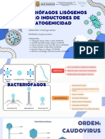 Bacterio Fag Os