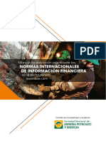 Manual NIIF para Mineria 2019