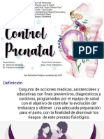 Control Prenatal Estudio