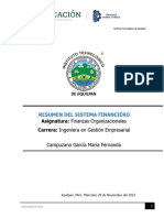 Resumen Sistema Financiero Fernanda Campuzano