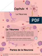 Neuronas