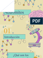 Neuromitos - Introduccion