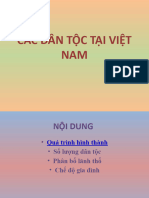 Các Dân Tộc Tại Việt Nam