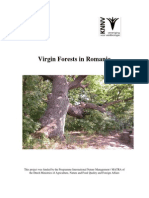 Virginforest Romania Summary