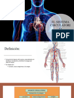 Clase 2. EL SISTEMA CIRCULATORIO