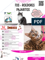 Gatos Noviembre 2023