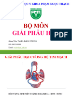 Gp Đại Cương Hệ Tim Mạch- y1 Bsdk- Rhm- Duoc.