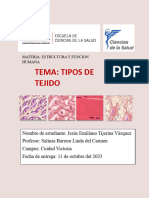 Infografia de Tipos de Tejido PDF