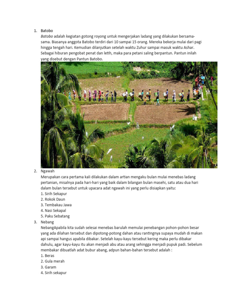 Proses Gotong Royong Batobo dalam Pertanian | PDF | Memasak, Makanan ...