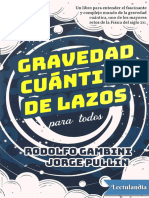 Gravedad Cuantica de Lazos para Todos - Rodolfo Gambini