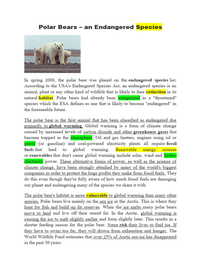 Polar Bears: Endangered by Climate Change | PDF | Climate Change ...