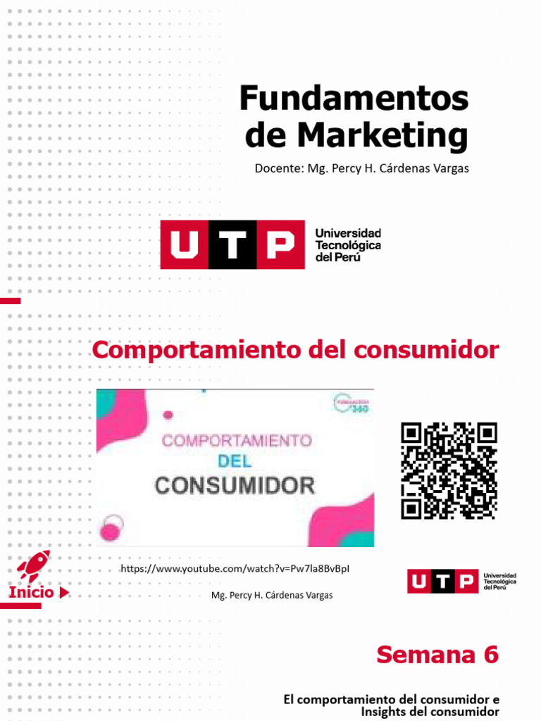 Comportamiento del Consumidor y Insights | PDF | Comportamiento del ...