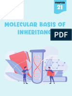 Molecular Basis of Inheritance