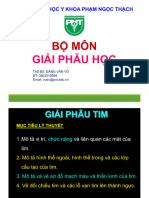 Giải Phẫu Học