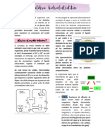 Equilibrio Hidroelectrolitico