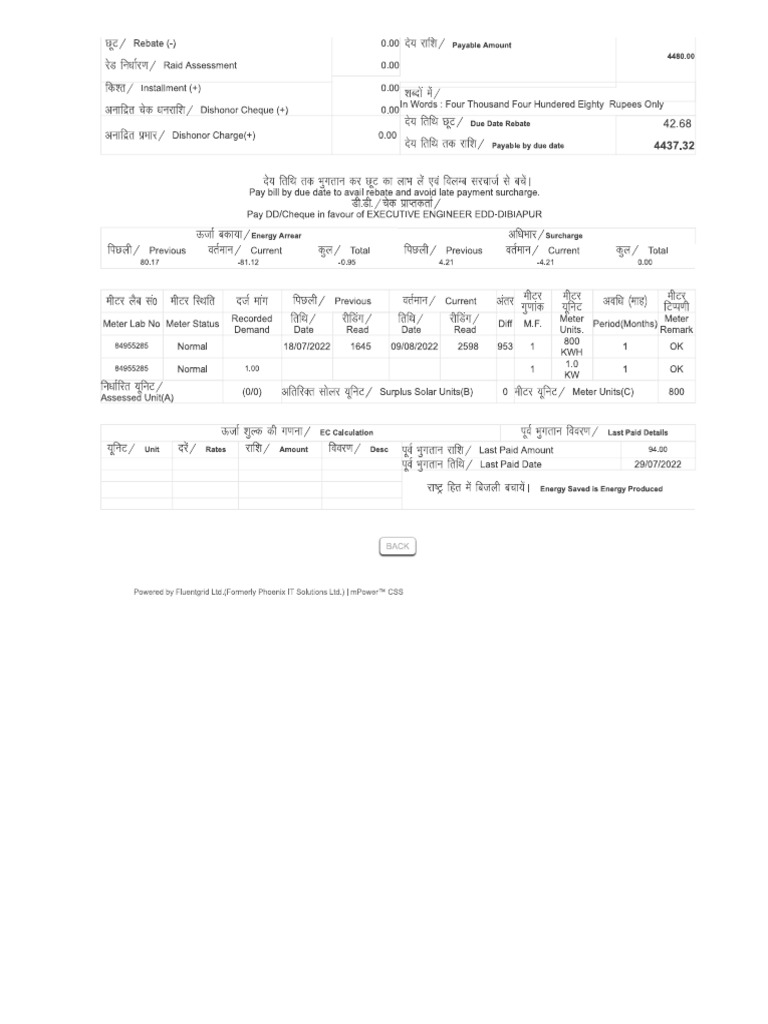 electricity-bill-pdf