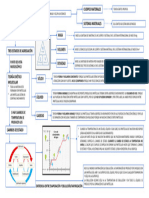 Mapa Conceptual La Materia