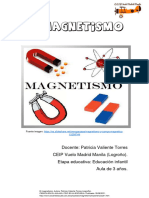 Magnetismo Patricia Valiente