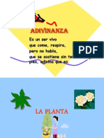 Partes de La Planta