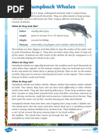 The Snail and The Whale | PDF | Whales