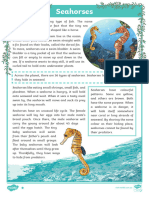 Au SC 2854 Seahorse Differentiated Fact Files - Ver - 1