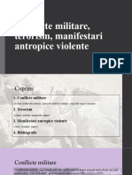 Conflicte Militare, Terorism, Manifestari Antropice Violente