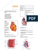 Crat - Cardio Pulmo