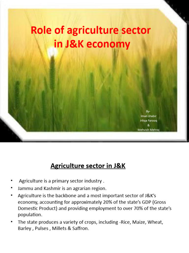 Agriculture Sector Final Edit | PDF | Agriculture | Gross Domestic Product