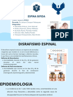 Espina Bifida - (Tema Pediatrico)