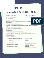 Angel D. Torres Salina CV 2023