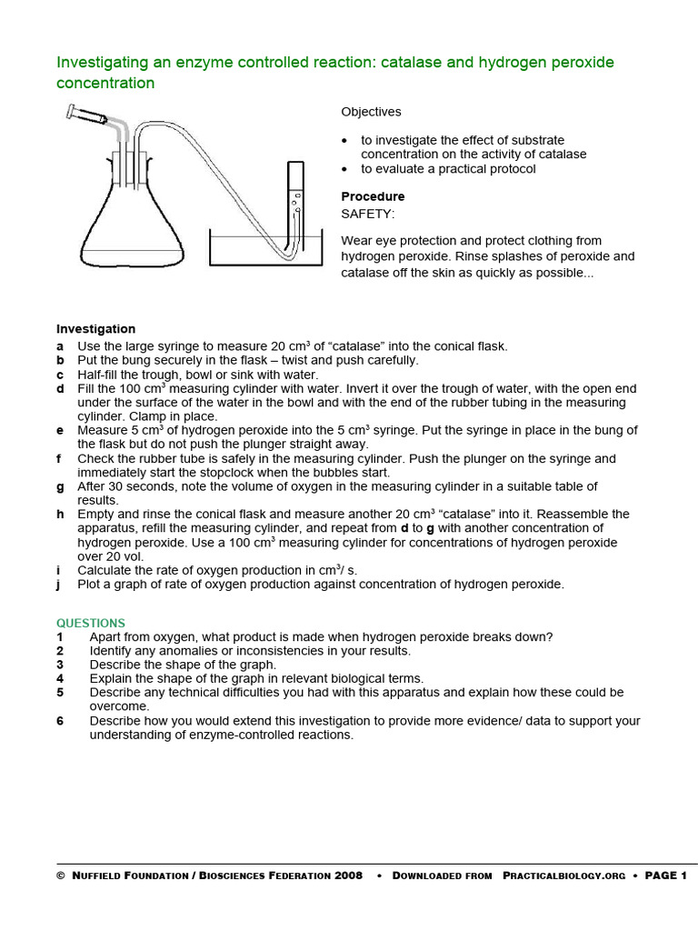Catalase and Hydrogen Peroxide Concentration Practical Student Sheet No Scheme PDF Catalase