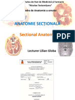 Anatomia Sectionala A SNC-78302