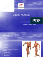Sistemi I Muskujve, Sh.P. 2023