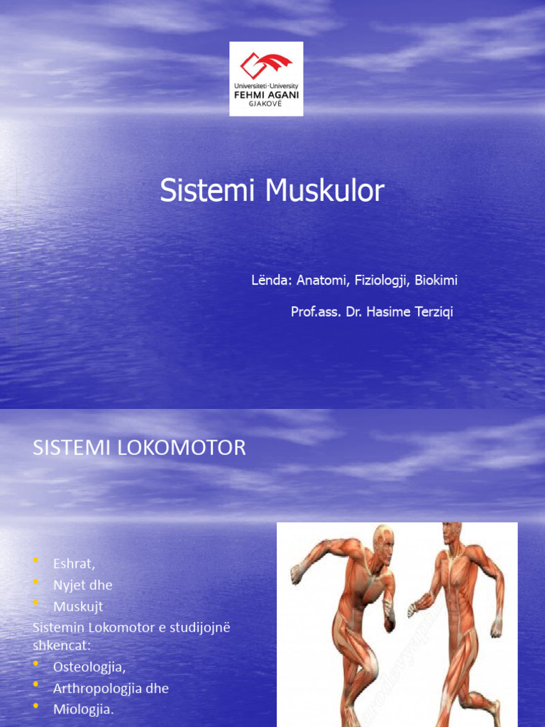 Sistemi I Muskujve, Sh.P. 2023 | PDF