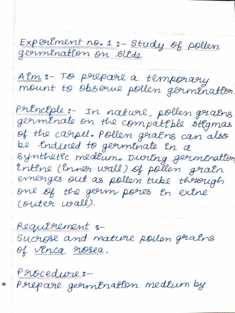 Biology Record (Full) PDF