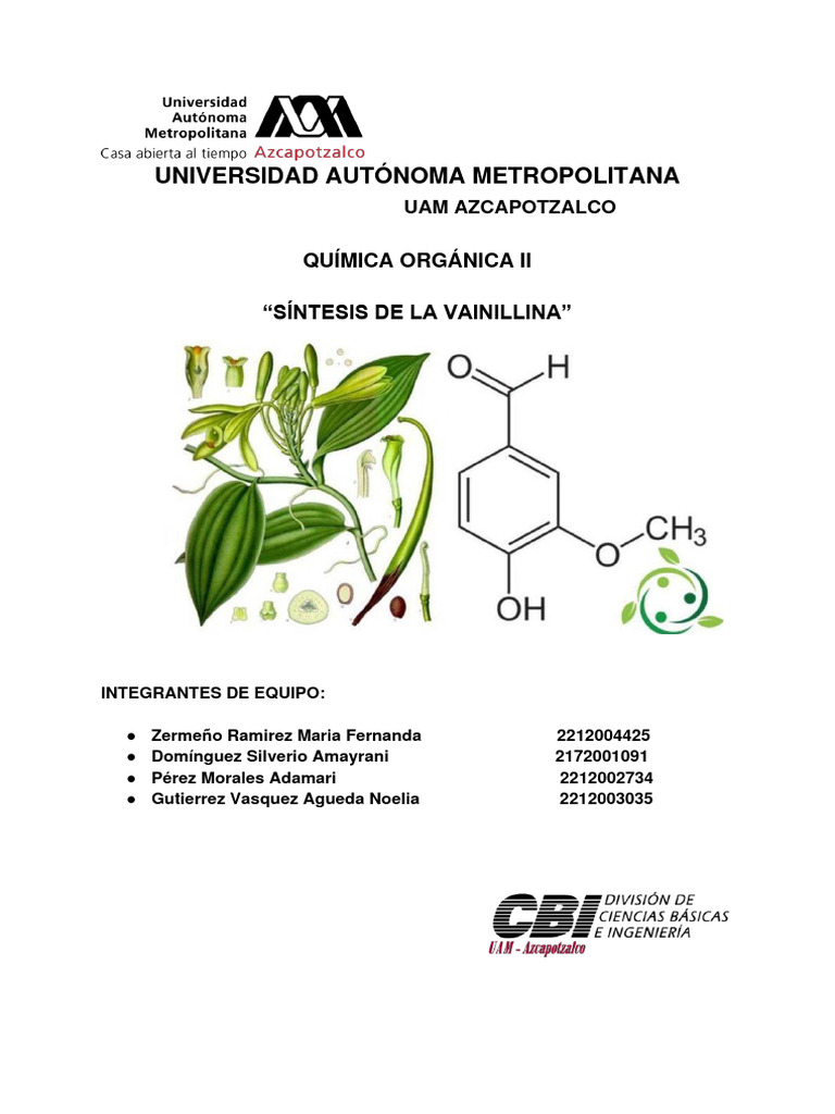 sintesis-de-la-vainillina-pdf-comida-y-bebida