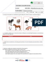 6 Ficha Categorias Taxonómicas