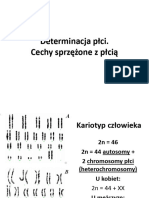 Determinacja Płci. Cechy Sprzężone Z Płcią