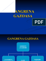 Gangrena Gazoasa